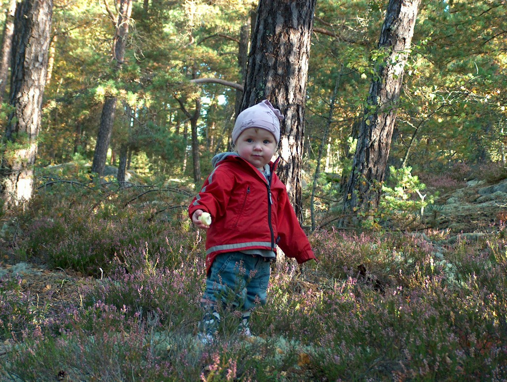 Lilla goa Frida i den vackra svenska skogen