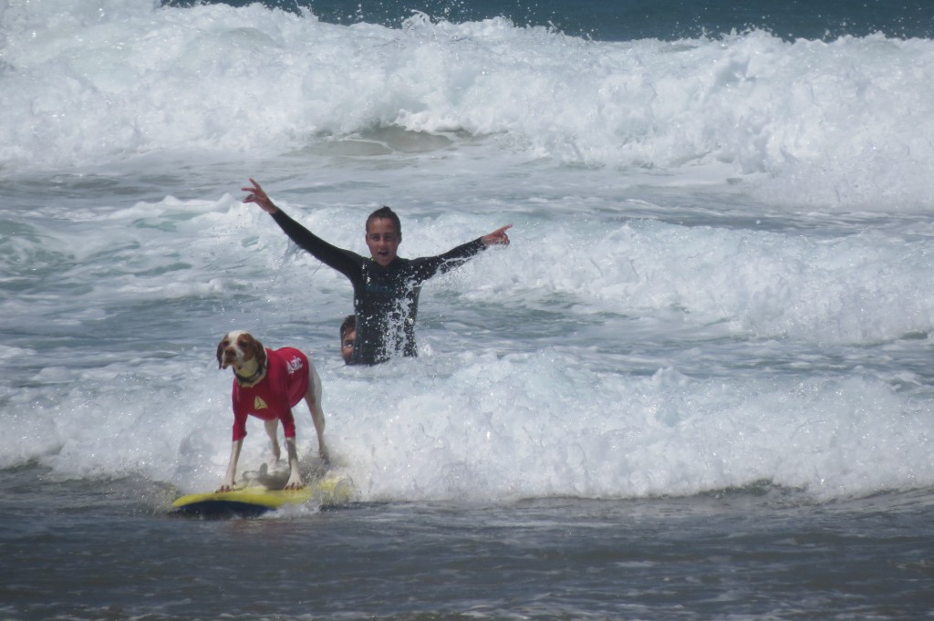 Maj 2014 Lagun + hundsurf 218