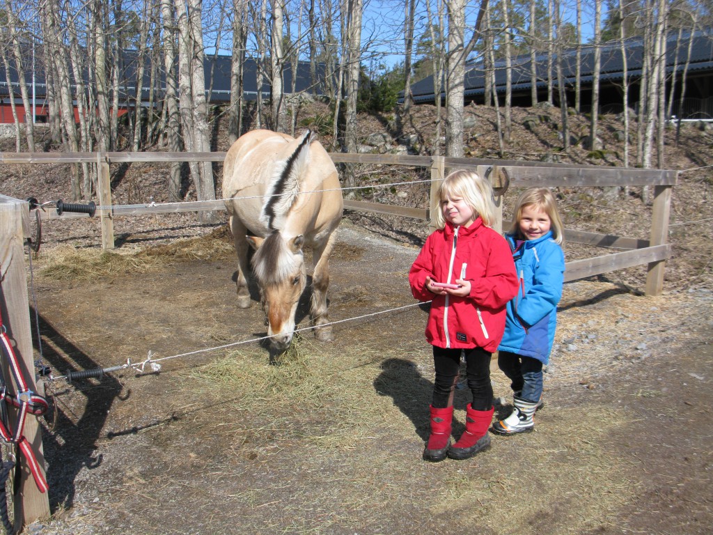 Med bästisen i Sverige för 1,5 år sedan. 