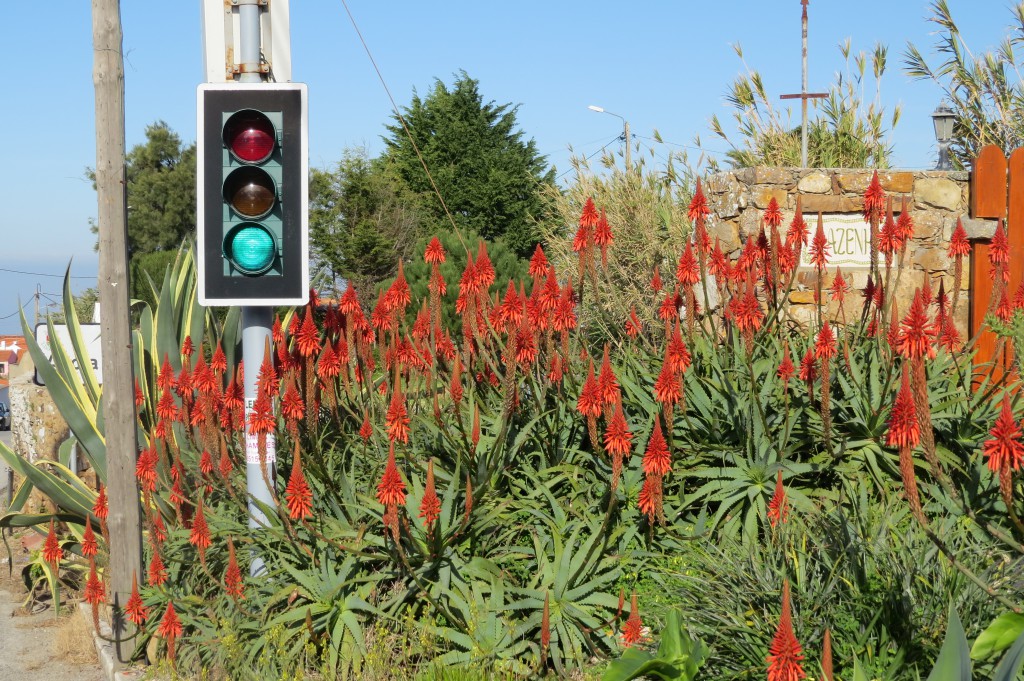 Trafikljus i Azoia