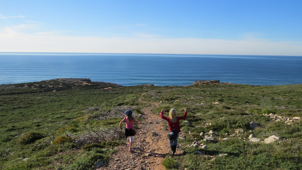 Guincho delfiner 2014 027