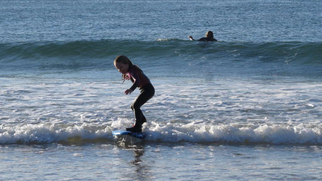 Guincho delfiner 2014 058