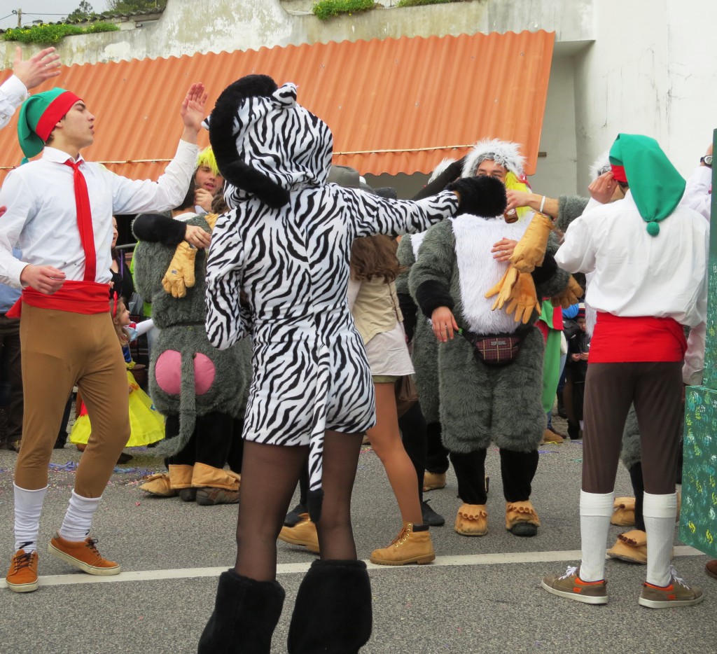 Karneval 2014 093