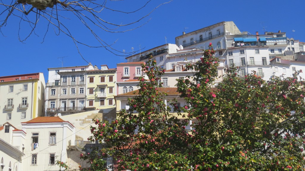 Coimbra mars 2015 012