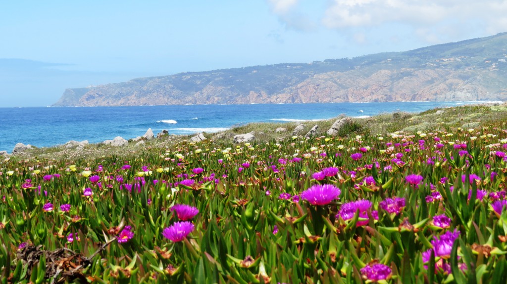 Maj Guincho 2015 021