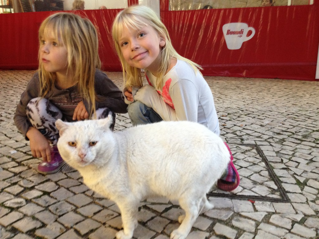 Den här killen brukar hålla till vid fiket. Han är tydligen den enda katten i byn som veterinären inte gillar. Hon blänger på honom när hon kommer och ska ta sin kaffe på fiket, och påstår att han är en riktig elaking, men jag tycker han verkar väldigt snäll och social. Han är ganska lortig, men vid jul hade han en liten röd rosett som personalen på bageriet gett honom. 