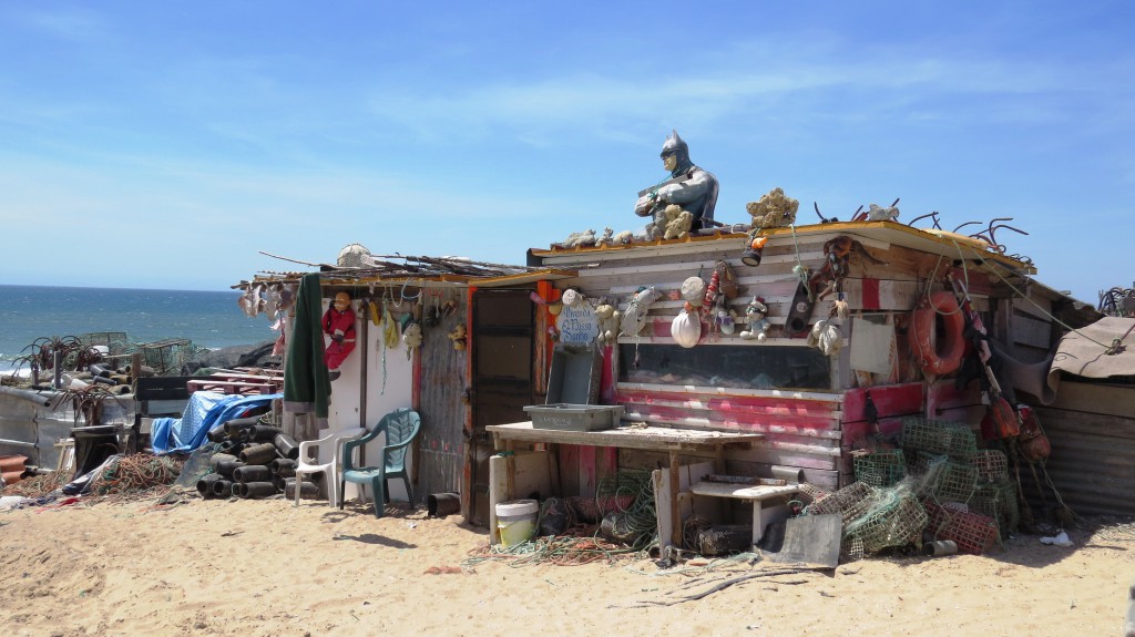 Ulgueira och Fonte da Telha 2015 097