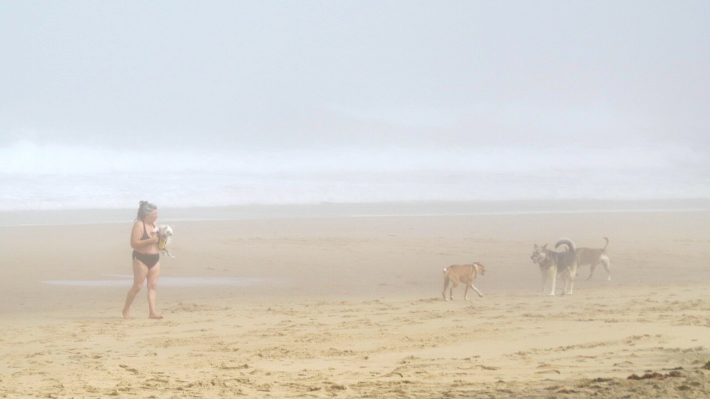 Kvinna med vovvar på disig strand