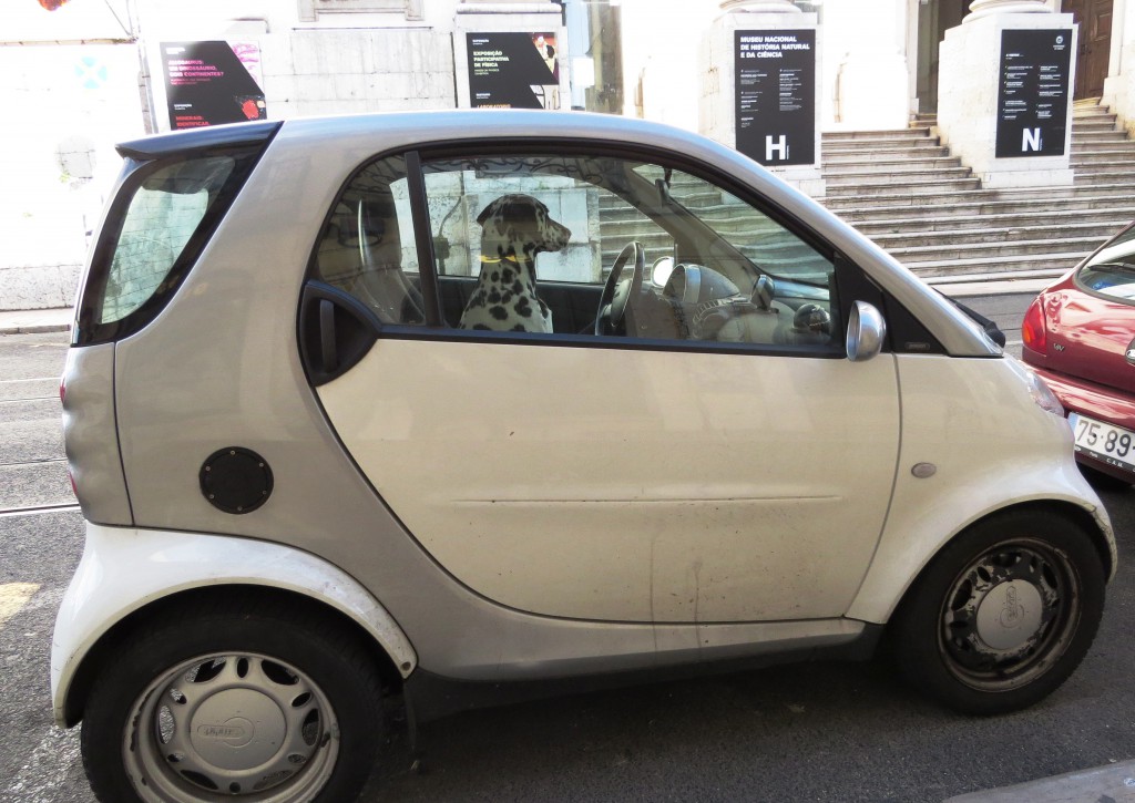 En som fickparkerat! (Lissabon)