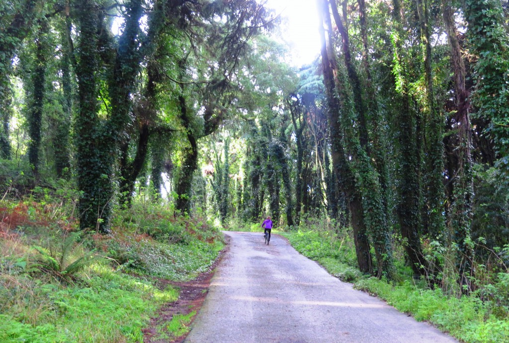 Ute och cyklar i Serra da Sintra