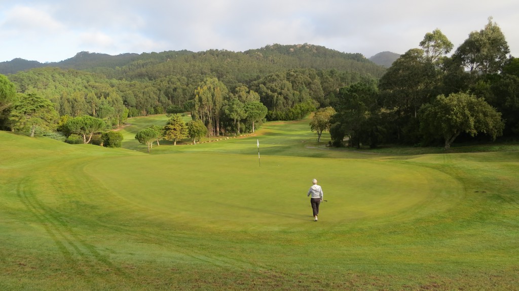 golf mm januari 2015 008