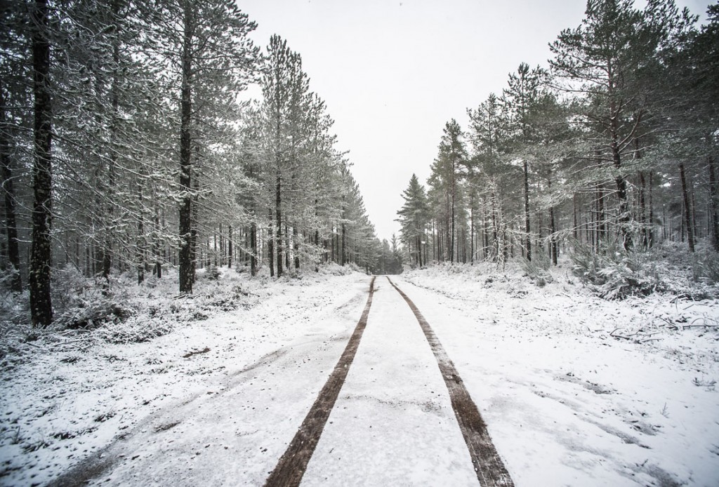 Montalegre, 14/02/2016 - Neve em Montalegre e Paradela. (Gonçalo Delgado/Global Imagens)