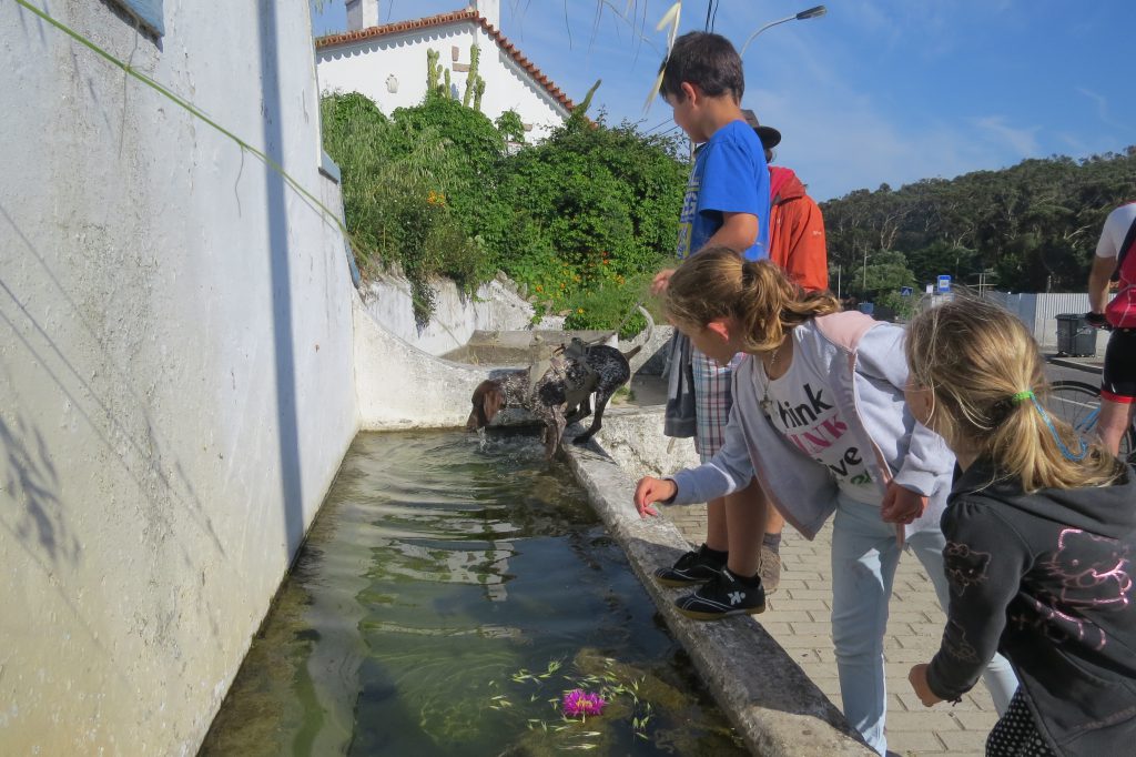 guincho maj 2016 107