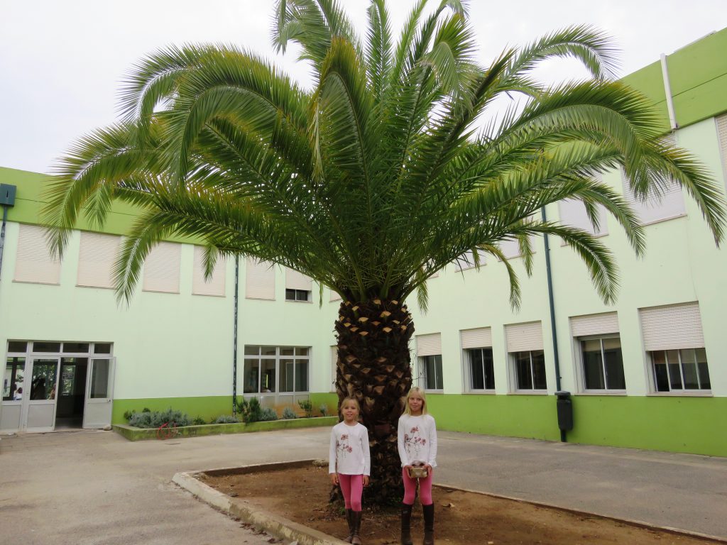 På stora skolan i Cascais för att ta emot diplom för goda skolresultat och gott uppförande. 